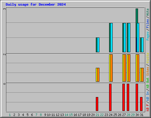 Daily usage for December 2024