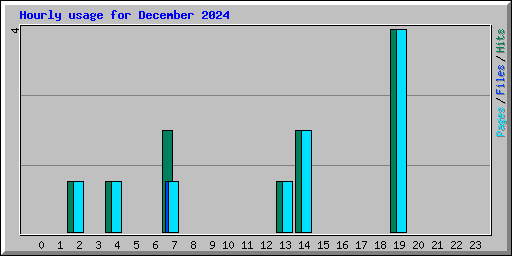 Hourly usage for December 2024