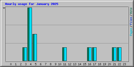 Hourly usage for January 2025