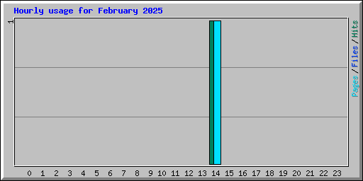 Hourly usage for February 2025